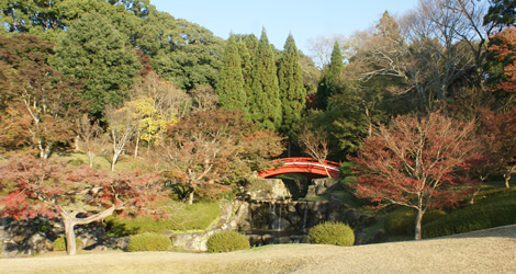 Nara Park Nara Park