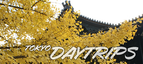 Tokyo Day Trips Tokyo Day Trips