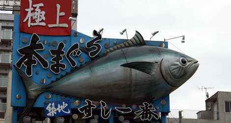 Tsukiji Fishmarket