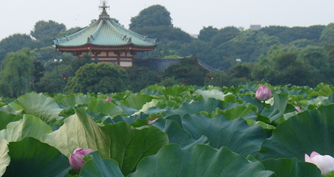Ueno Park Ueno Park