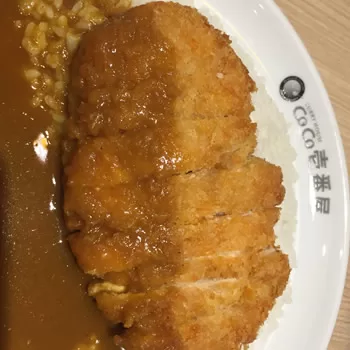 coco curry house chicken katsu