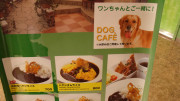 Dog cafe