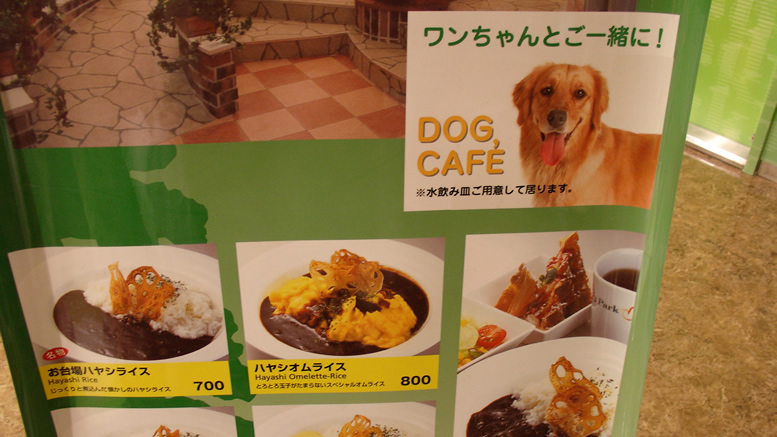 Dog cafe