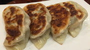 Gyoza Dumplings