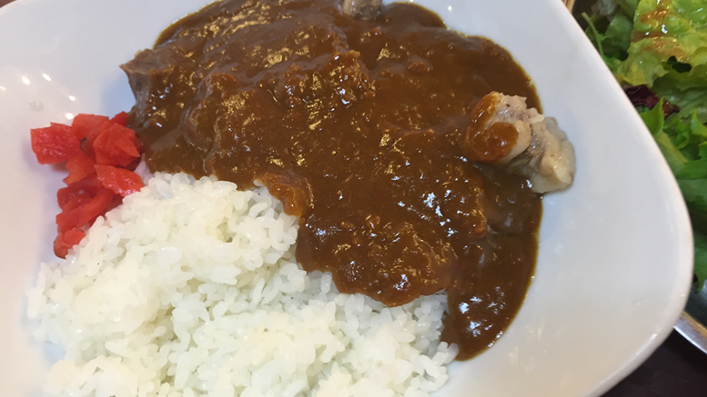 Japanese curry and rice