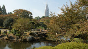 Shinjuku gyoen park