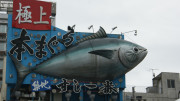 Tsukiji fishmarket